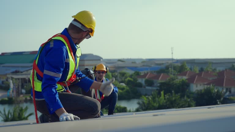 Best Roof Moss and Algae Removal  in Manning, SC